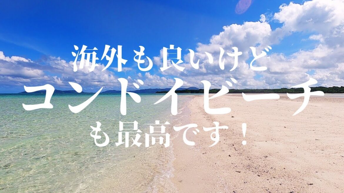 海外も良いけど、コンドイビーチも最高です! 第 398 話 海外も良いけど、コンドイビーチも最高です! 第 398 話