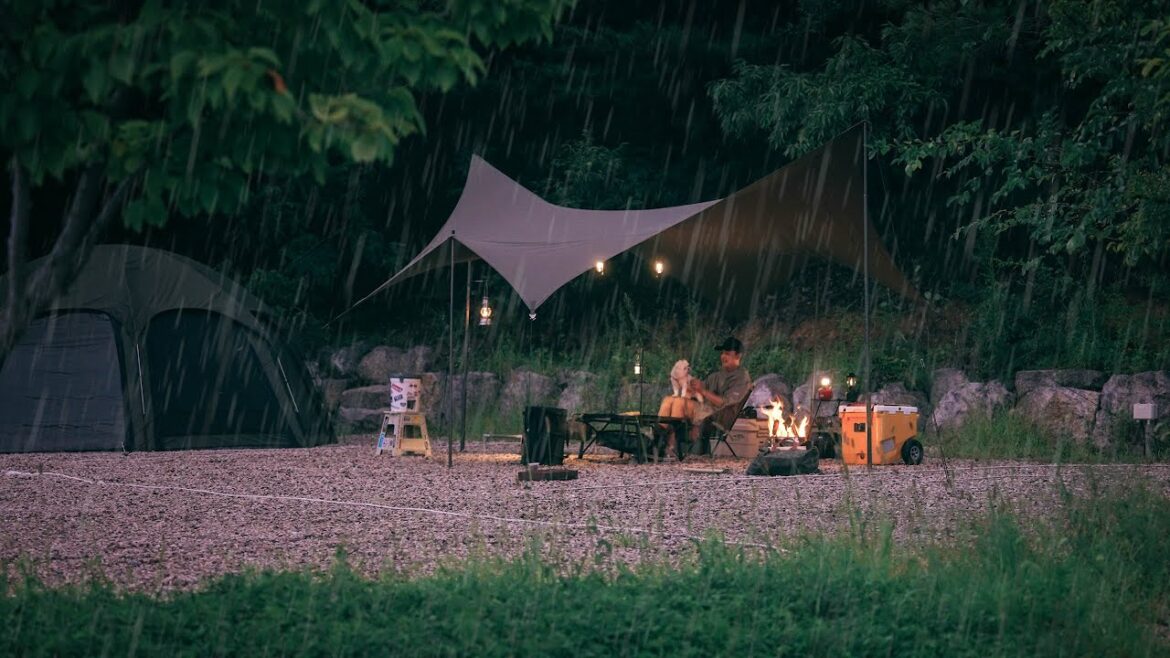 🍂 다가오는 가을 잔잔한 빗소리, 귀여운 모찌랑 우중캠핑 🏕️ 소고기, 조개구이와 소주는 못참지! 🥩🍺 [ASMR 캠핑]