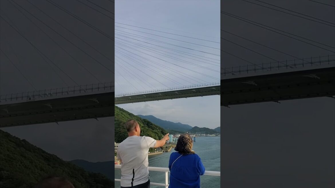 Looking at Megami Bridge from Cruise 船から女神橋を見る  #fun #cruise #travel