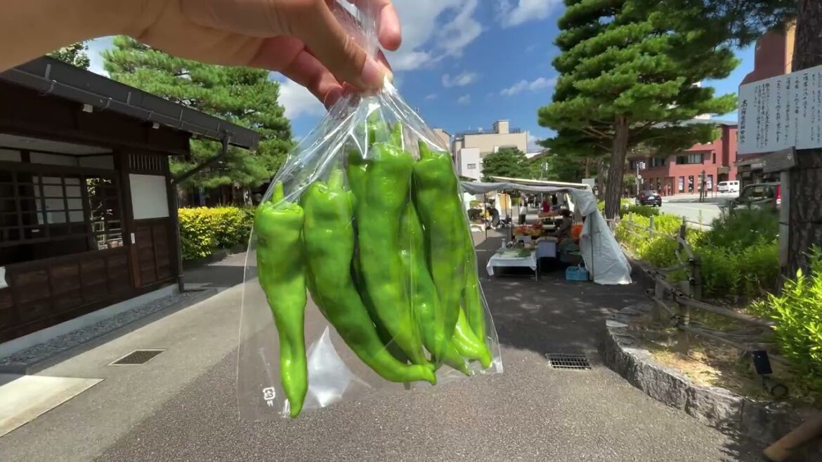 Food Walking Tour in Takayama // Satoyama Experience