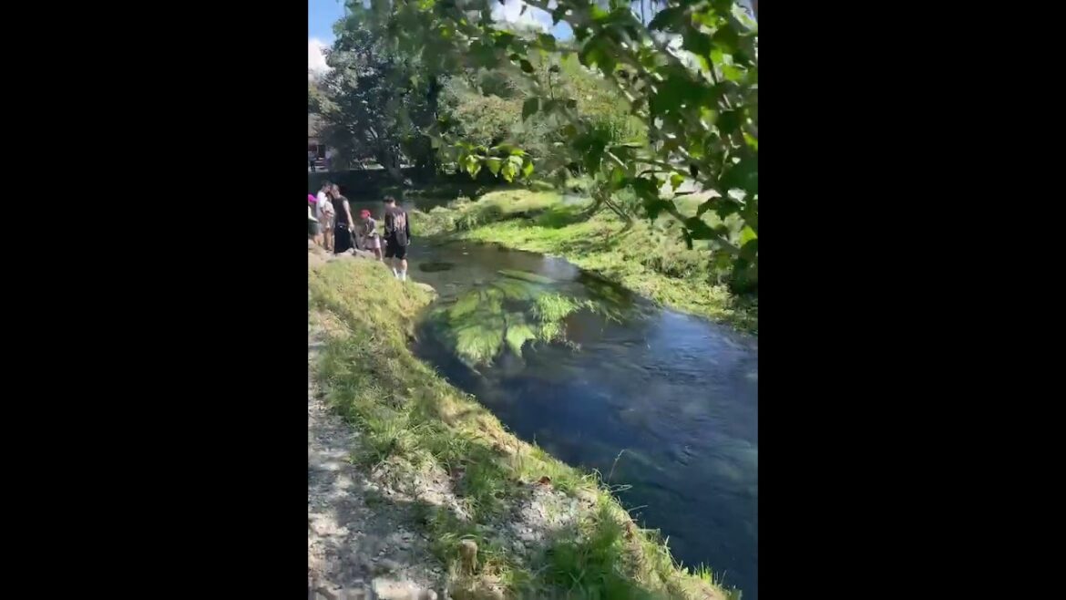 【JAPAN】Summer View at Oshino Hakkai