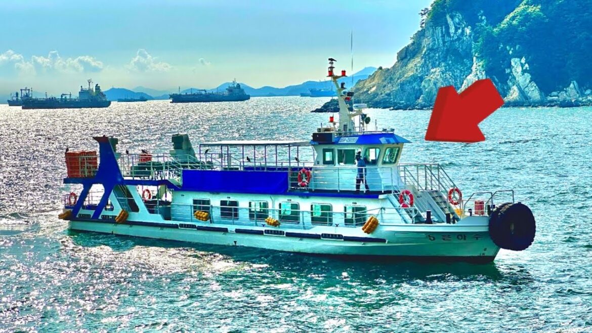 놀라운 부산 암벽 해안선 페리 투어 | 바다에서 바라보는 백악기 퇴적층뷰!!