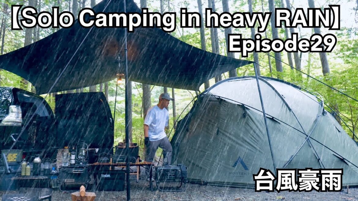 【Solo Camping In Heavy RAIN EP29 】大雨の中のソロキャンプ！台風の豪雨、テントでリラックスして料理を楽しむ #solocamping #asmr #露營 #캠핑