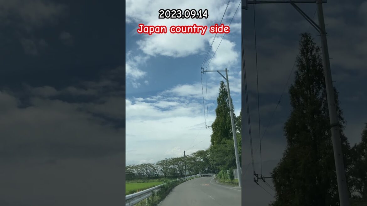 Japan countryside drive part02 #shorts