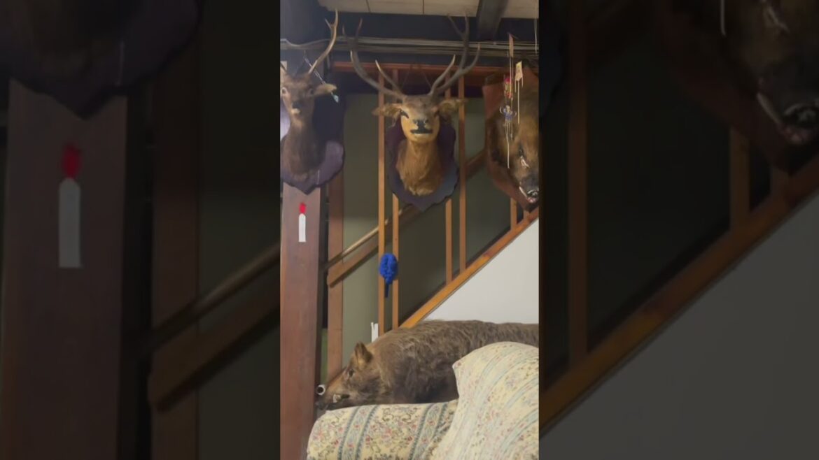 【温泉女子】秘湯♡郷緑温泉『郷緑館』岩の割れ目から温泉が湧いてるよ♨岡山県真庭市 #温泉女子 #hotspring #온천 #温泉 #onsen #vlog  温泉女子♨『ぽ』ちゃん