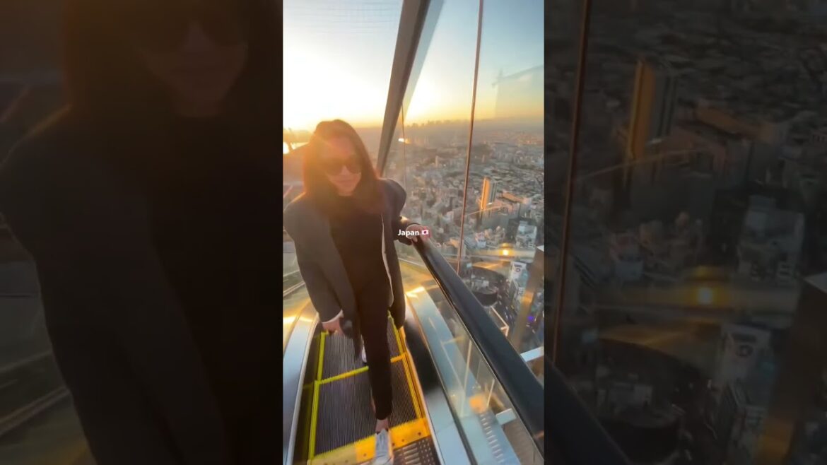 Favourite moments from our whirlwind 9 day trip to Japan visiting Tokyo, Osaka, Nara and Kyoto 🇯🇵