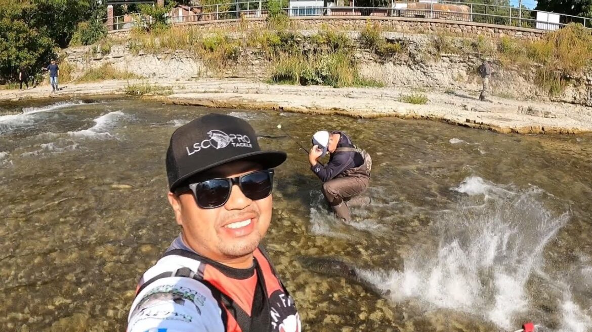 Checking out Port Hope and the Salmon run- Lake Ontario fishing