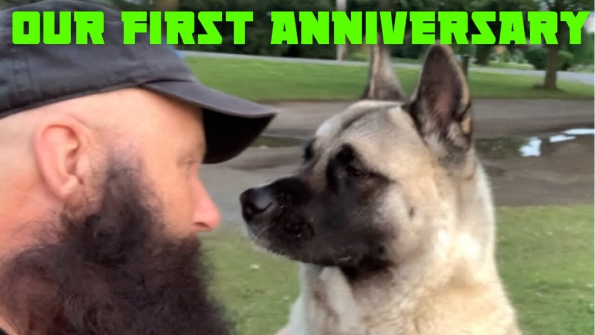 Abby And I Have Our First Anniversary…Vanlife Style