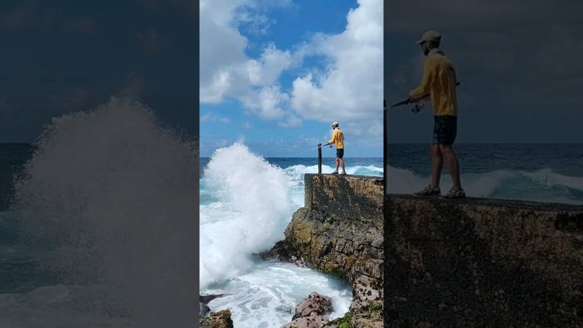 Let's go fishing #shorts #trending