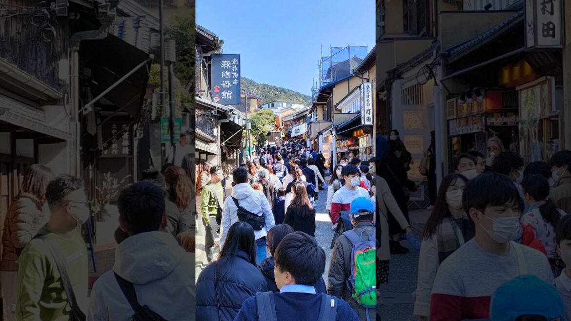 Amazing Images of Japan - Kyoto #japan #japanphoto #travelphotography #travelwithmicky #kyoto