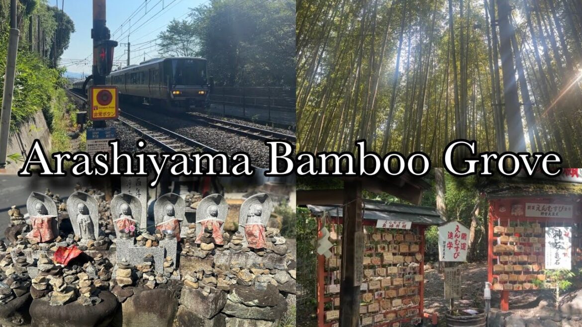 Japan Video Diaries | Arashiyama Bamboo Grove Forest, Kyoto & Osaka, Kyoto Day 2, Part 1 Japan Video Diaries | Arashiyama Bamboo Grove Forest, Kyoto & Osaka, Kyoto Day 2, Part 1