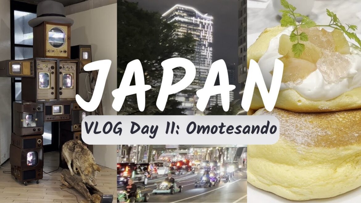 Japan Vacation VLOG: Day 11 - Omotesando | Watari-Um Museum | Harajuku | Shopping | Vegetarian Food
