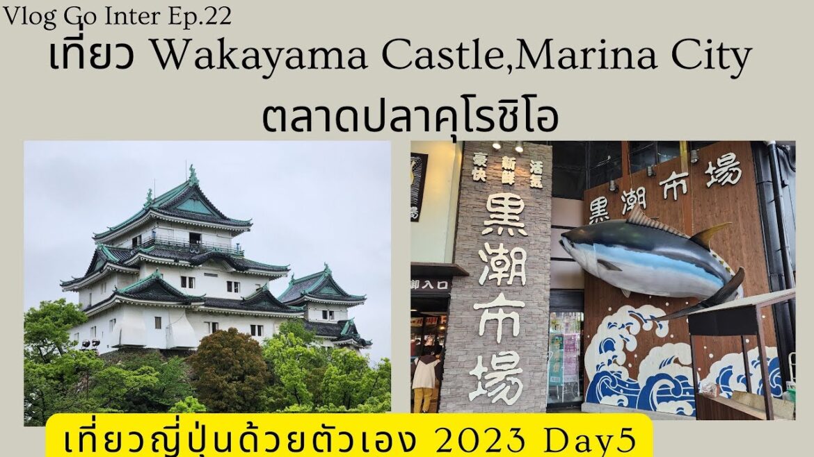 Vlog GoInter Ep.22 เที่ยวญี่ปุ่น 2023 Day5 ตอน 2 : Wakayama Castle,Marina City,ตลาดปลาคุโรชิโอ