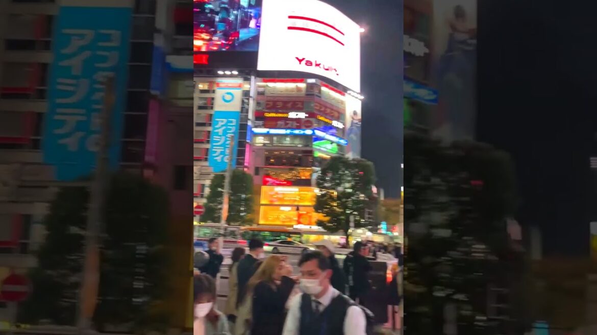 Shibuya Square At Night #japan Shibuya Square At Night #japan