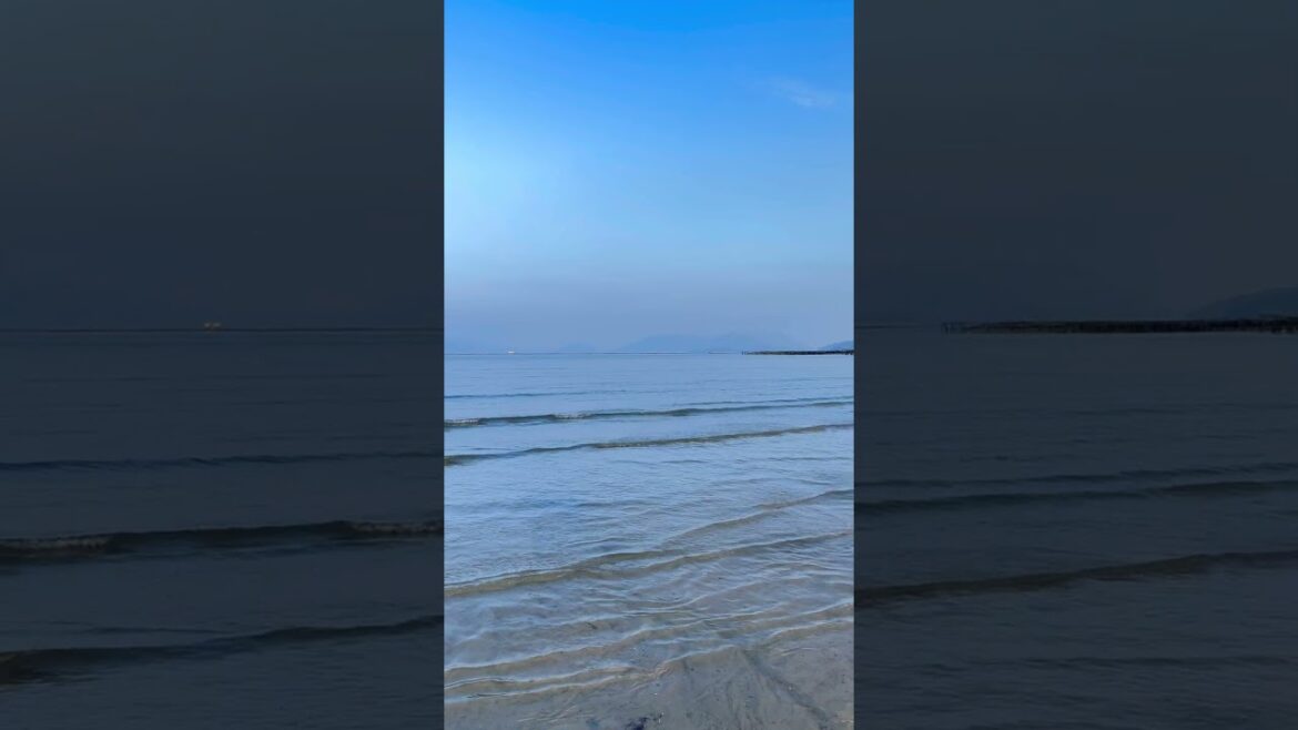 hiroshima and miyajima day trip / kintai bridge in iwakuni japan / global resort hotel #shorts