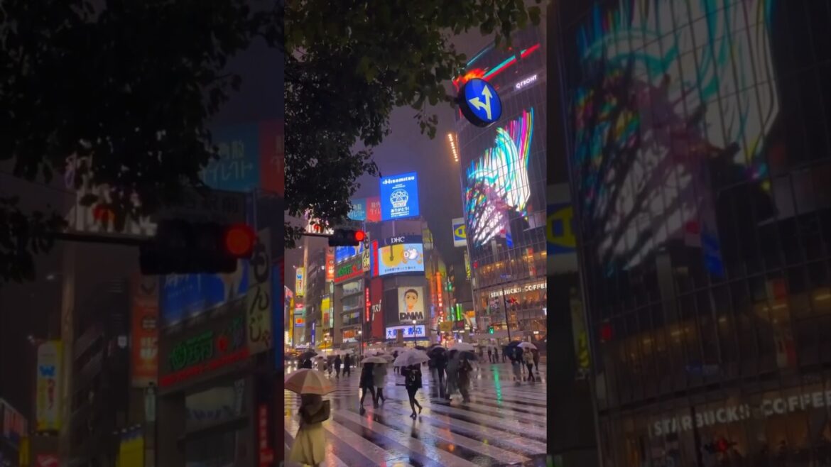 JAPAN👀TOKYO 👀OSAKA 🇯🇵#shorts #amazing #japan #beautiful