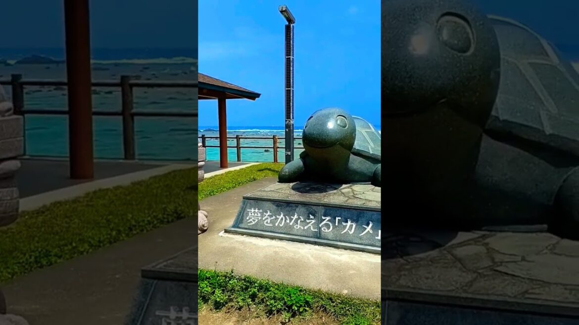 夢が叶うカメさん🐢笠利崎観光公園🌴#奄美大島 #パワースポット The sea turtle makes dreams come true