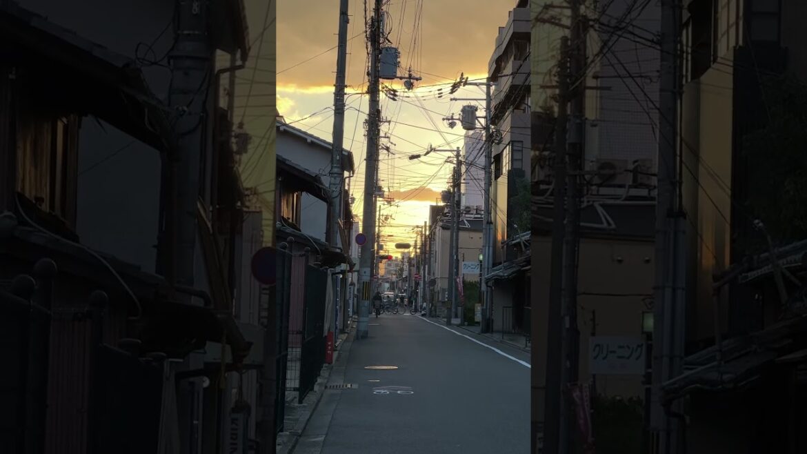 Kyoto Sunset Vibes #kyoto #japan #kyotolife #sunset #sunsetview  #travel #japanwalk