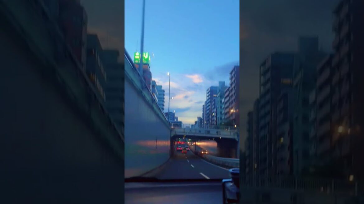 #japan #travel #asiantravel #tokyo #lovetokyo #ytshorts #trendingshorts #japanvlog