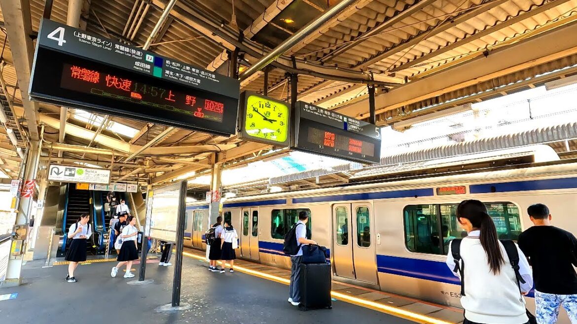 【4K60】常磐線、我孫子駅構内を散策！(Japan Walking around Abiko Station)