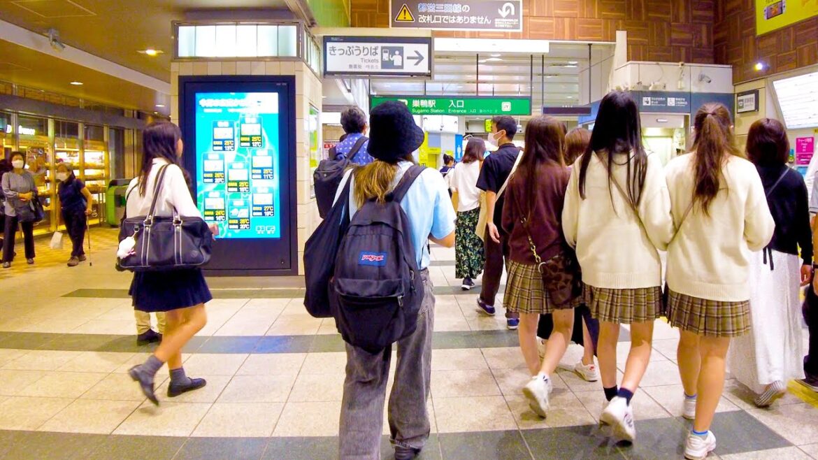 Sugamo in Tokyo 🐶Every day is a festival town♪💖4K ASMR non-stop 1 hour 02 minutes Sugamo in Tokyo 🐶Every day is a festival town♪💖4K ASMR non-stop 1 hour 02 minutes