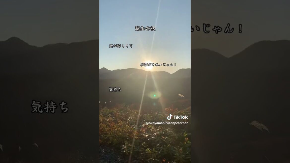 【Okayama Prefecture】 蒜山の秋 #shorts #autumn #shortsvideo 【Okayama Prefecture】 蒜山の秋 #shorts #autumn #shortsvideo