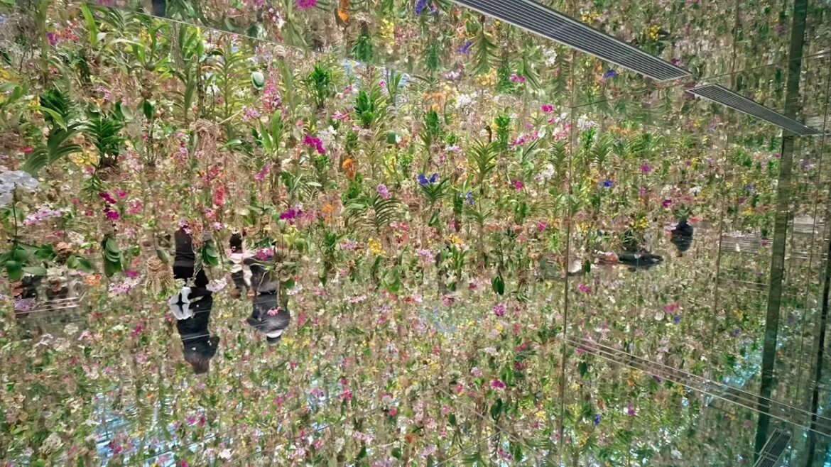 Tokyo teamLab Planets full walk・4K HDR