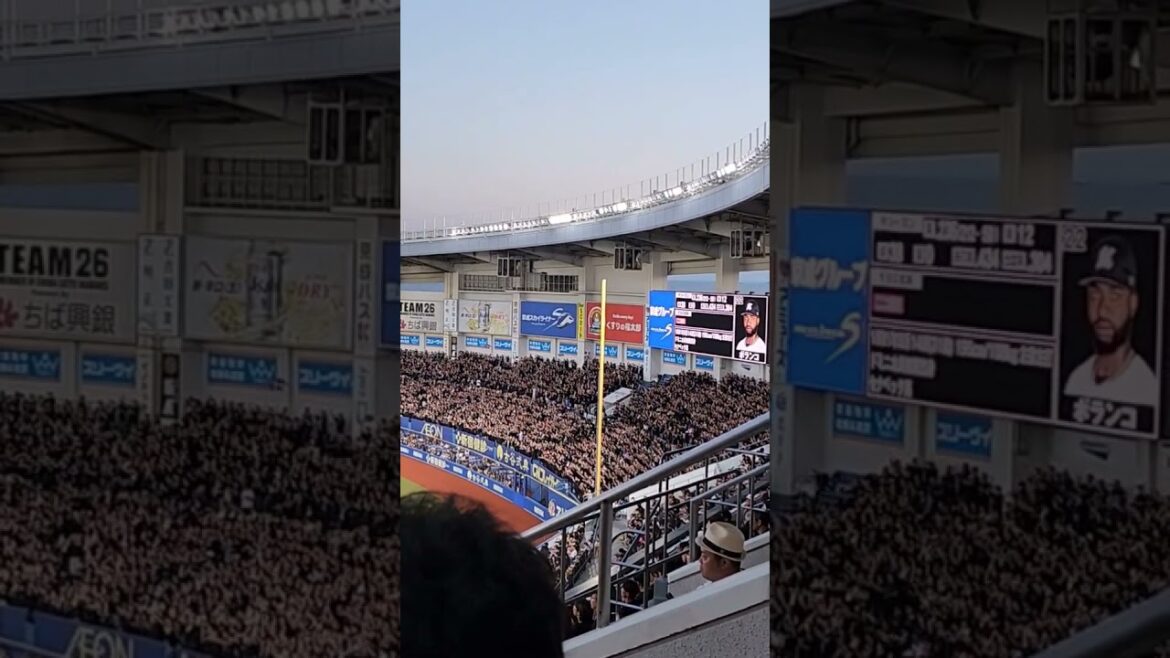 NPB -- Chiba Lotte Marines