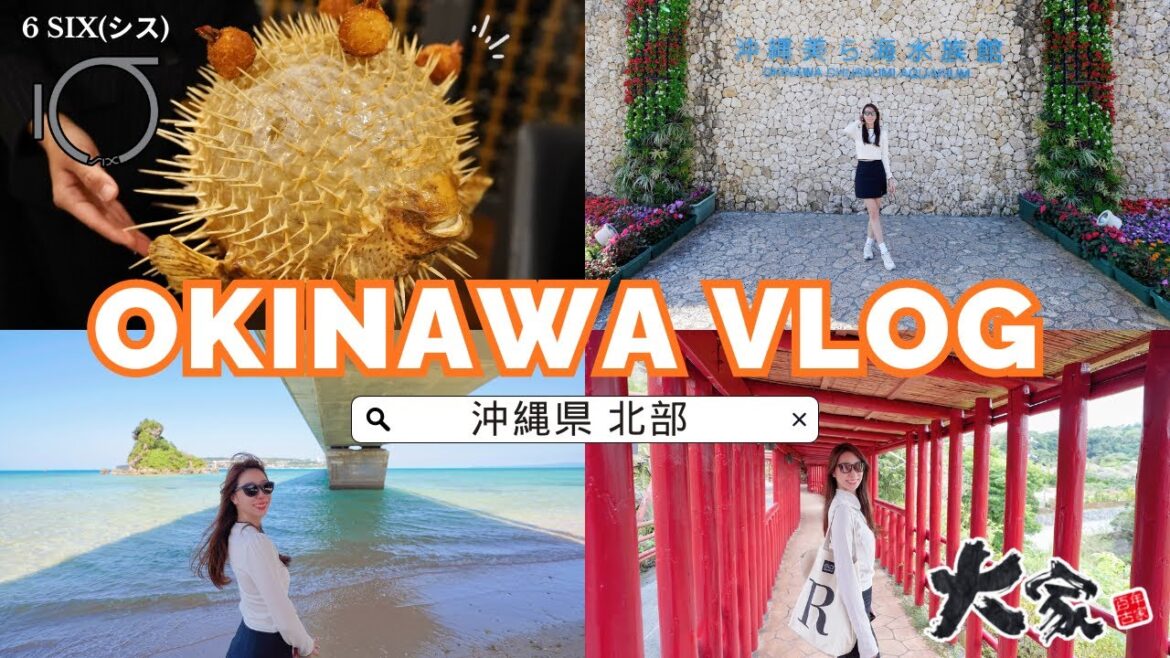 【沖縄Vlog】沖縄北部のオススメ観光スポット６選🌊🌺 古宇利島、 6 six（シス）、うふやー等☺︎