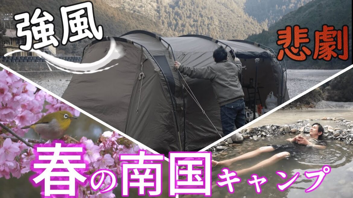 キャンプ 和歌山で春キャンプ  強風に耐えるテント|お花見河津桜｜田辺川湯キャンプ場