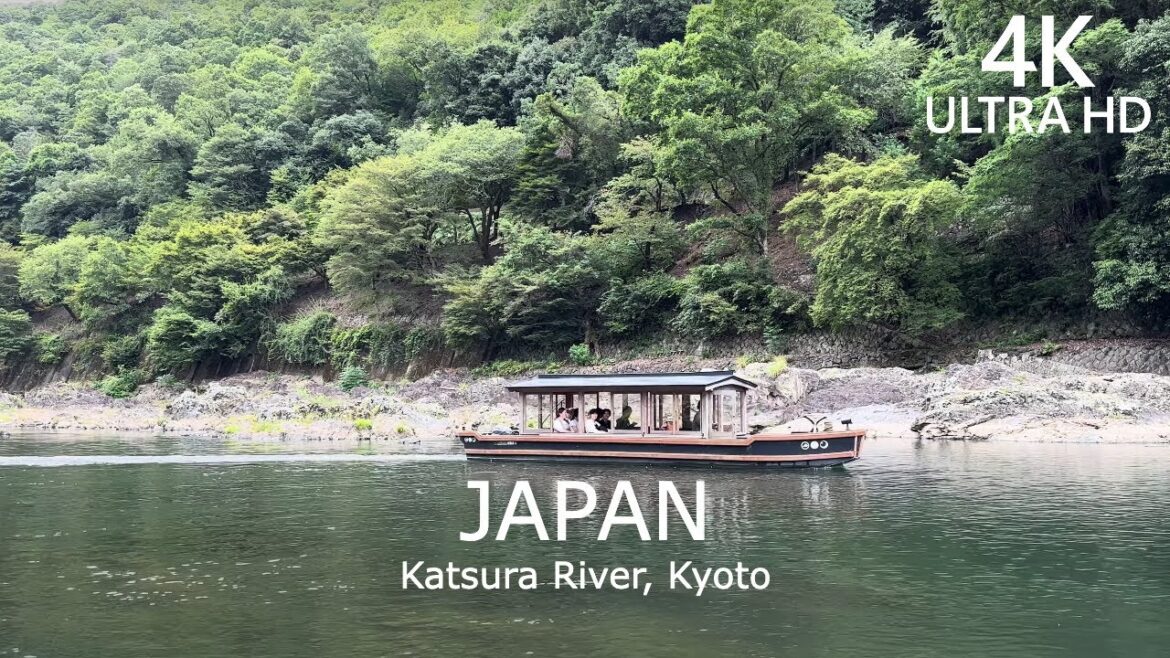 ASMR Immersed in Nature's Embrace: Reveling in the Forest Beauty at the Katsura River, Kyoto | Japan