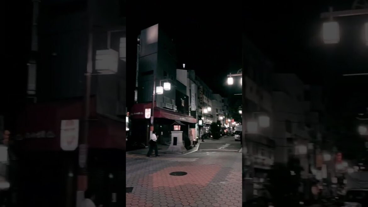 Asakusa Rokku Area, Tokyo Japan #asakusa #travel #asakusatokyo #japantravel #浅草 #ドンキホーテ #tokyotravel