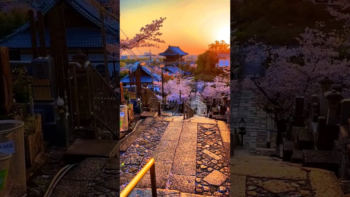 Sunset in Japan🌹🌷🌺