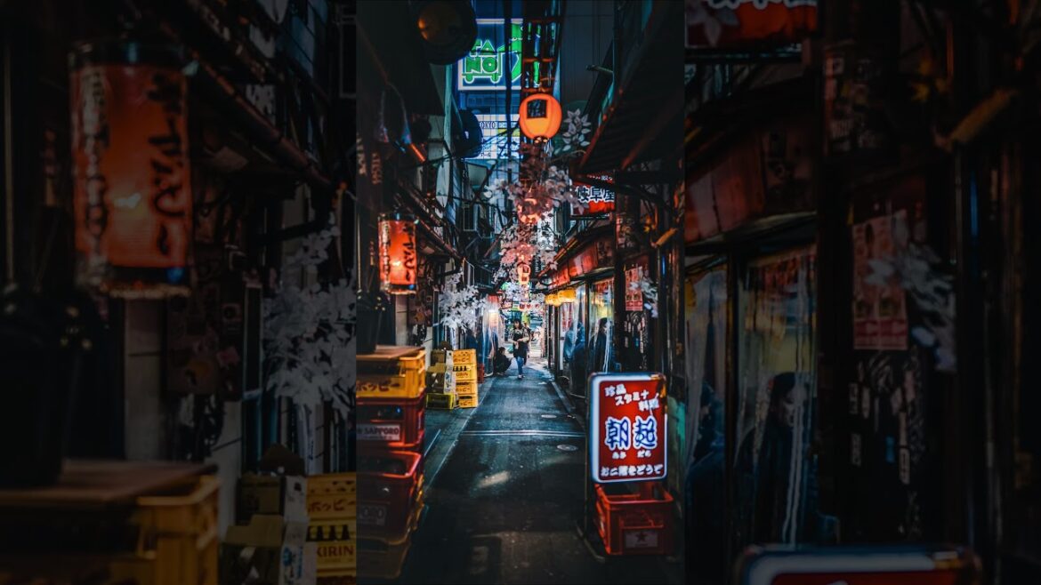 Welcome to the magical world of Japan! #mountfuji #japantravel #tokyo #tokyonightlife #kyoto #osaka