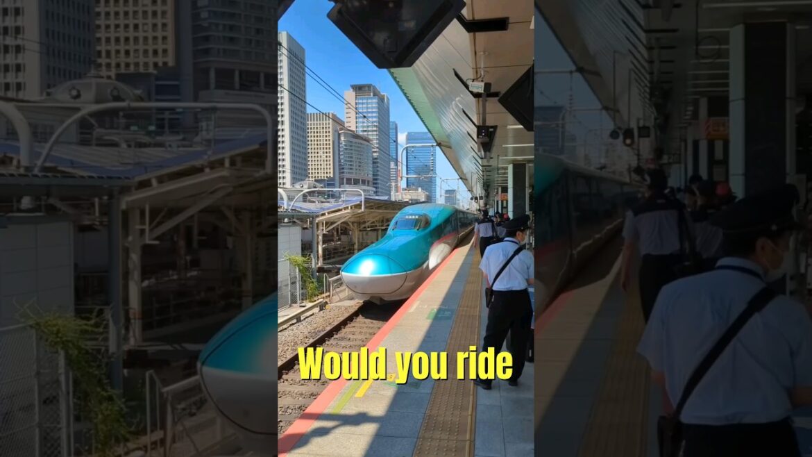 Hayabusa, Fastest Train in Japan #Hayabusa #shinkansen #japan #bullettrain