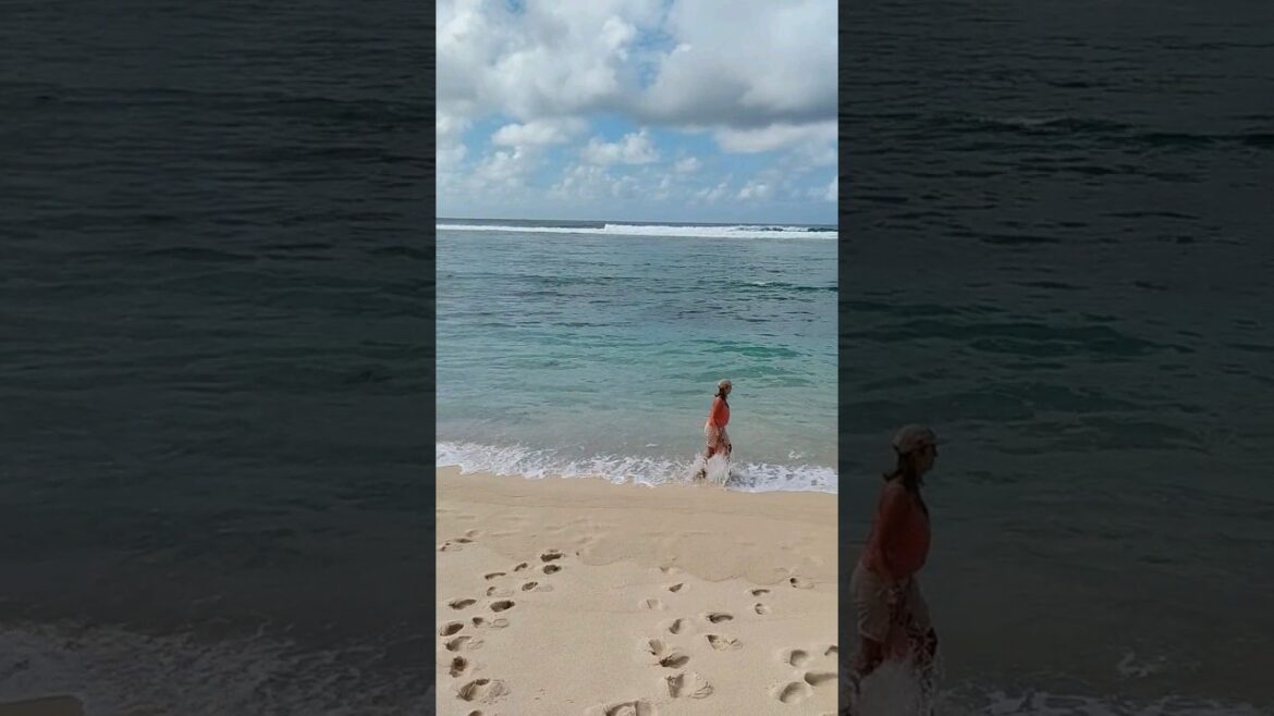 Beach walk #mauritius Beach wedding #shorts #destinationwedding #travel Beach walk #mauritius Beach wedding #shorts #destinationwedding #travel