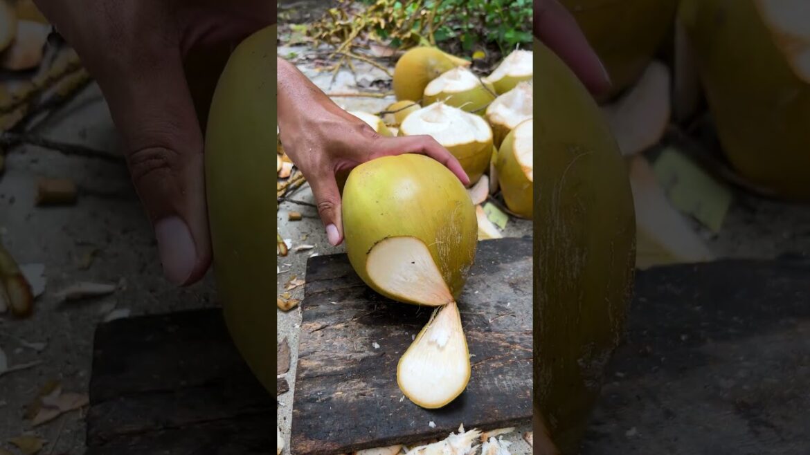 Golden coconut cutting skill #shorts #streetfood #viral #coconut #asmr