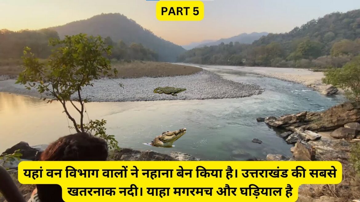 यहां वन विभाग वालों ने नहाना बेन किया है। उत्तराखंड की सबसे खतरनाक नदी। याहा मगरमच और घड़ियाल है