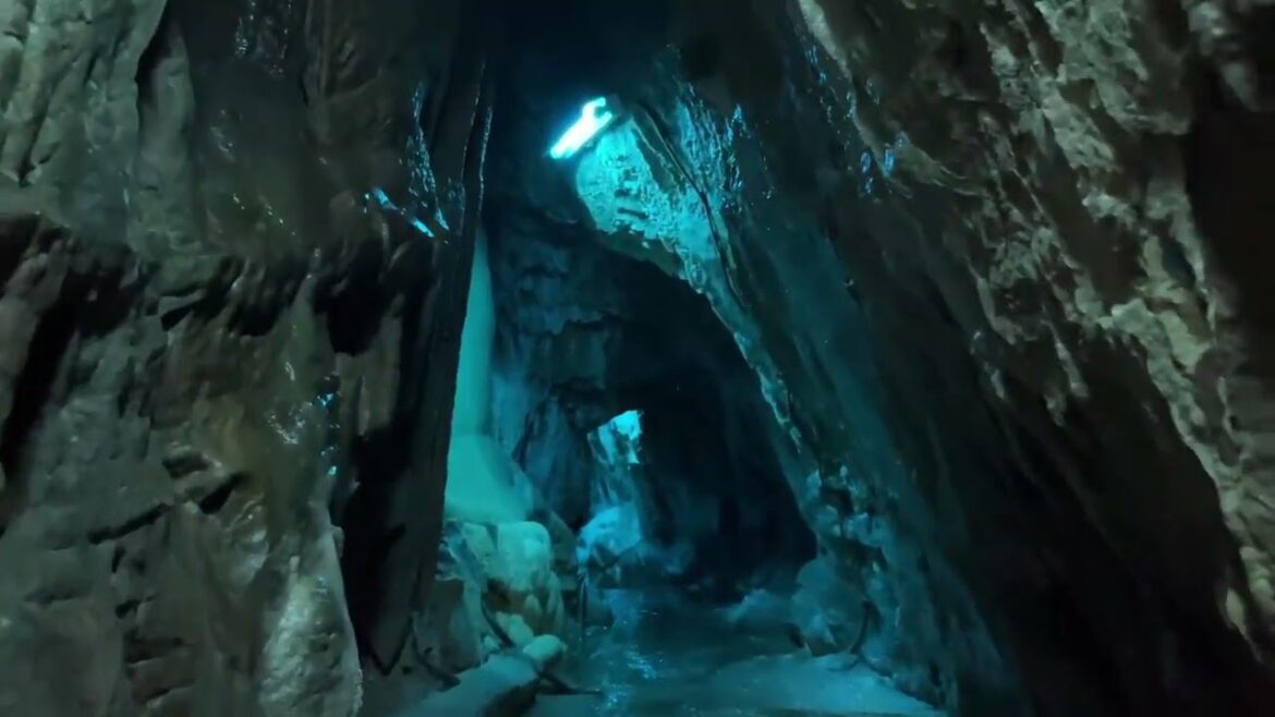 【井倉洞】湿度100％、何億年もかけて造られた洞窟に入らずにはいられない