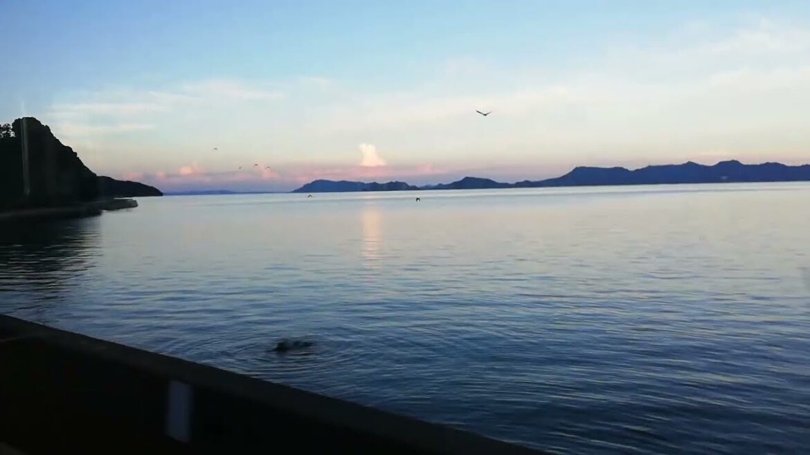 SPIRITED AWAY in REAL LIFE 肥薩おれんじ鉄道 始発、夜明け SPIRITED AWAY in REAL LIFE 肥薩おれんじ鉄道 始発、夜明け