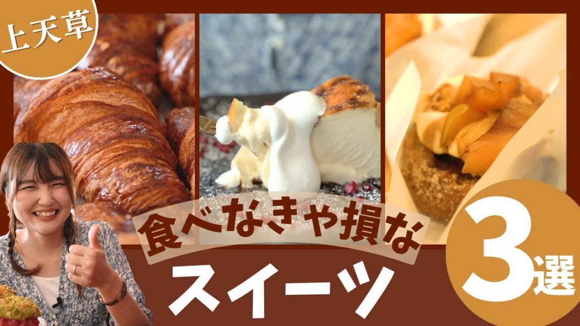 【熊本上天草スイーツ3選】ドライブ行くならここ行っとけ!食べなきゃ損!な美味しいスイーツ&グルメ!ピザ、バスクチーズケーキ、ドーナツ、クロワッサン【熊本観光】 【熊本上天草スイーツ3選】ドライブ行くならここ行っとけ!食べなきゃ損!な美味しいスイーツ&グルメ!ピザ、バスクチーズケーキ、ドーナツ、クロワッサン【熊本観光】