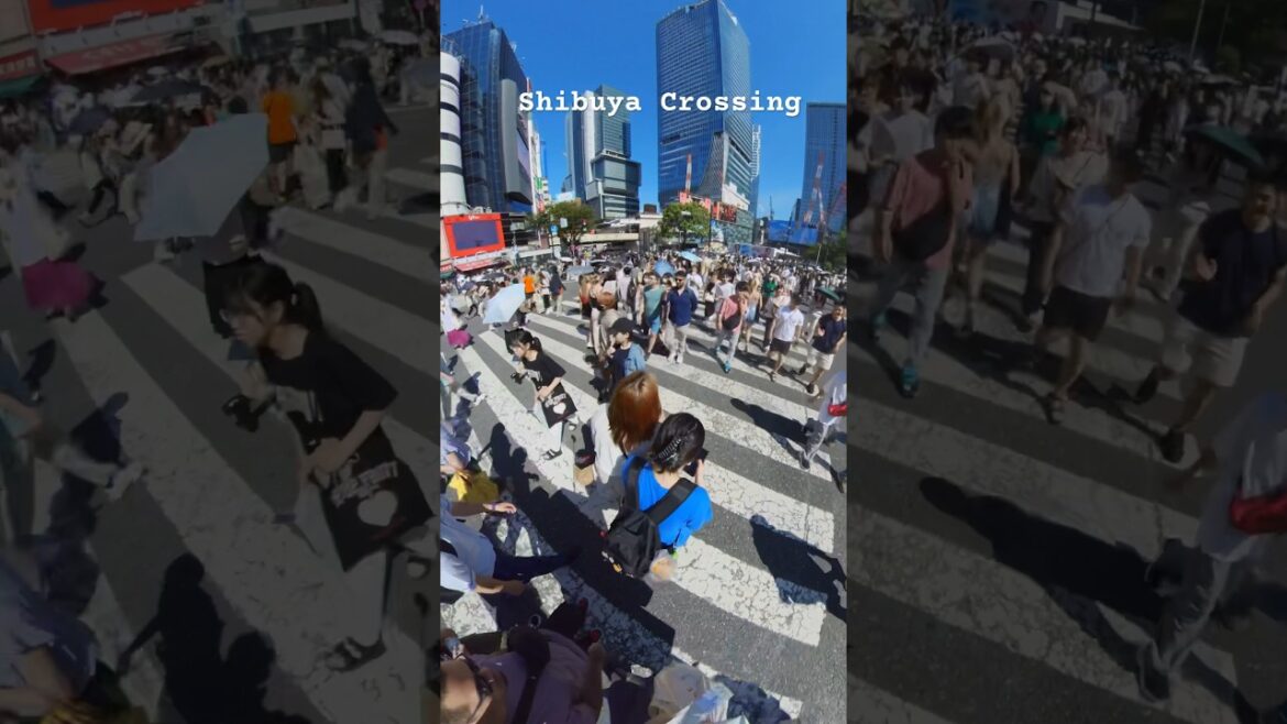 Shibuya Crossing #shibuyacrossing #shibuya #tokyo #japan #rcbtrips #travel