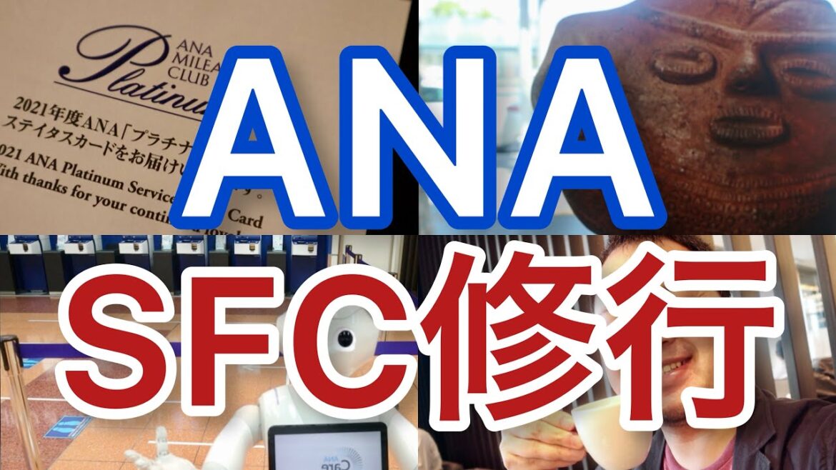 【SFC修行】最高記録！飛行機 搭乗 ANA 羽田空港「SFC修行8日目」全8日 airport