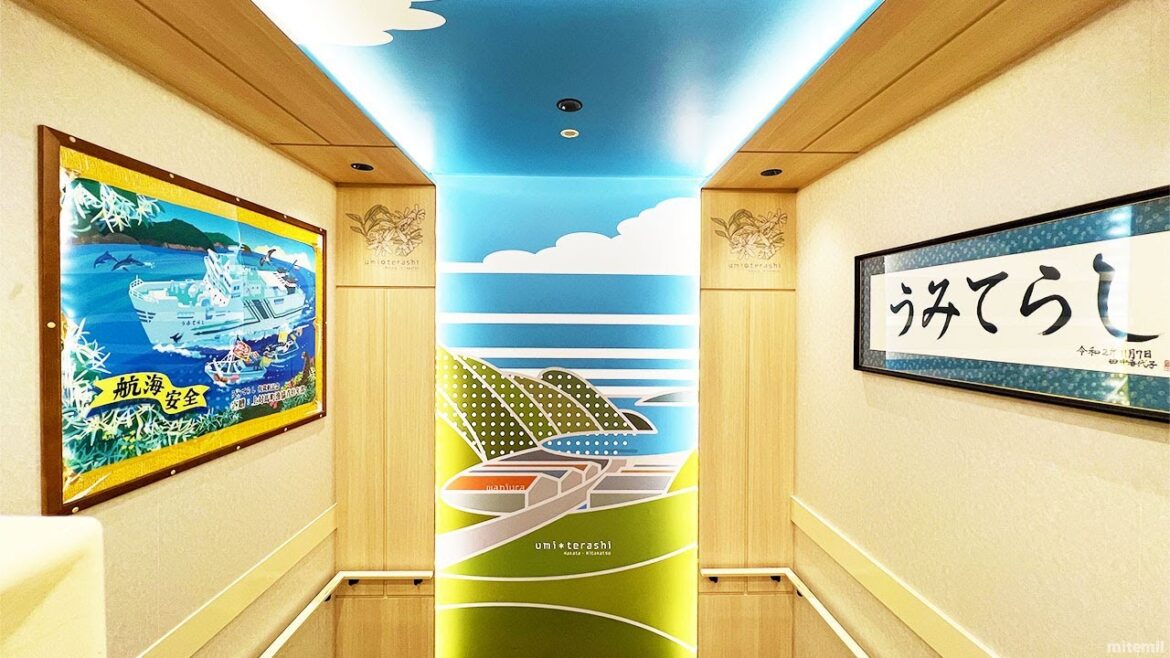 Shared Room on Japan's Ferry Umiterashi 🛳 5 hour alone trip from Tsushima to Fukuoka 九州郵船 フェリー うみてらし