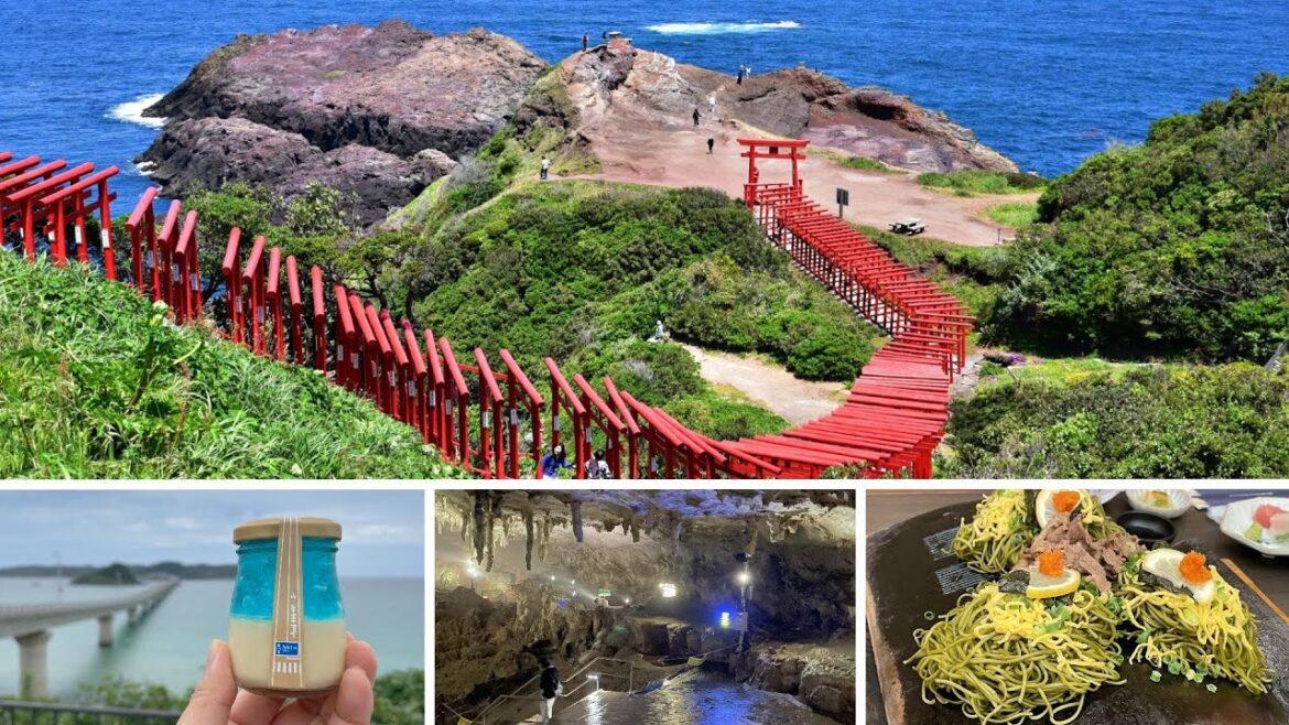 Yamaguchi Japan - Motonosumi Shrine | Akiyoshi Dai | Tsunoshima Ohashi Bridge Bus Tour.