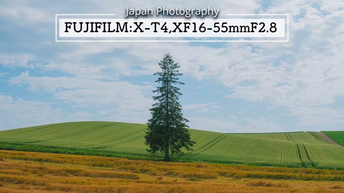 Japan Street Photography in hokkaido - Fujifilm X-T4 + XF16-55mmF2.8 R LM WR (Vol.13)