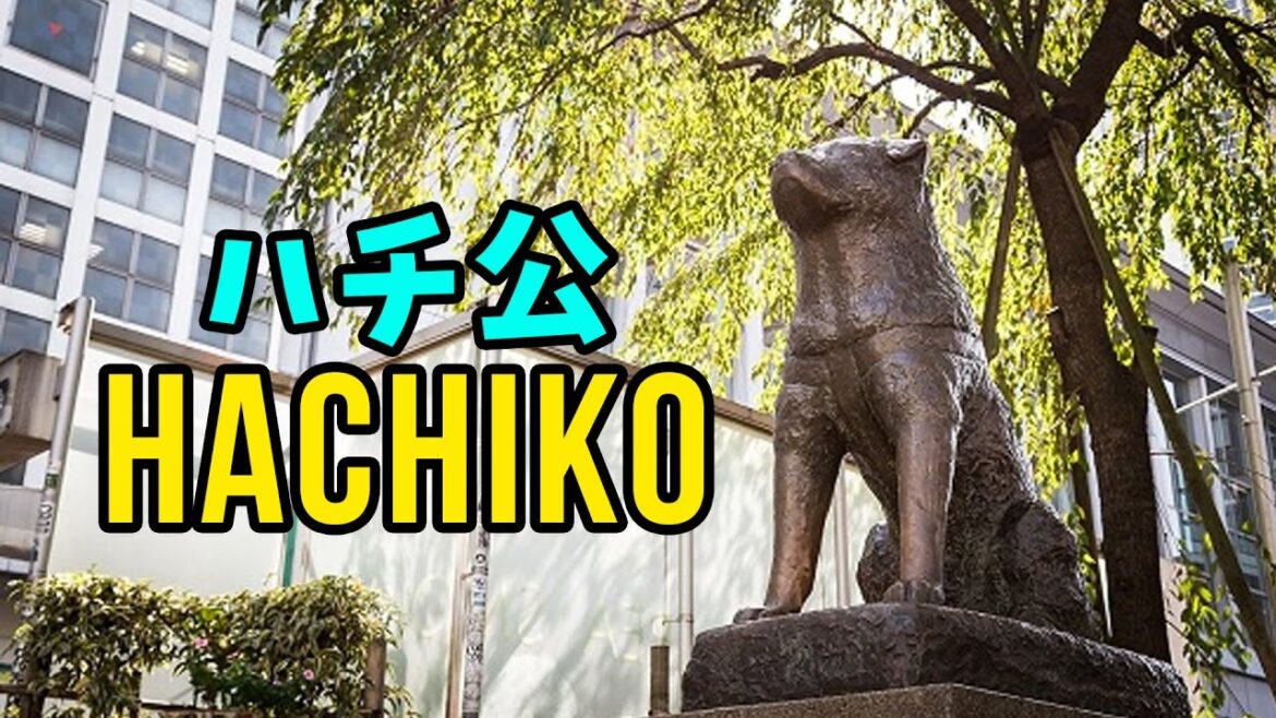Hachiko ハチ公 – One of the most iconic things in Tokyo! | JAPAN101 Hachiko ハチ公 - One of the most iconic things in Tokyo! | JAPAN101