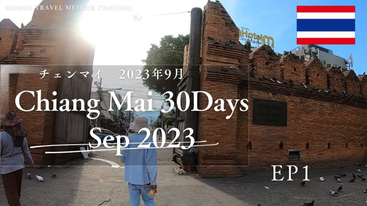 【Thailand Trip 🇹🇭 タイ旅行 EP1】チェンマイの日常生活！｜ローカル食堂での朝食｜旧市街散策｜カオソーイ