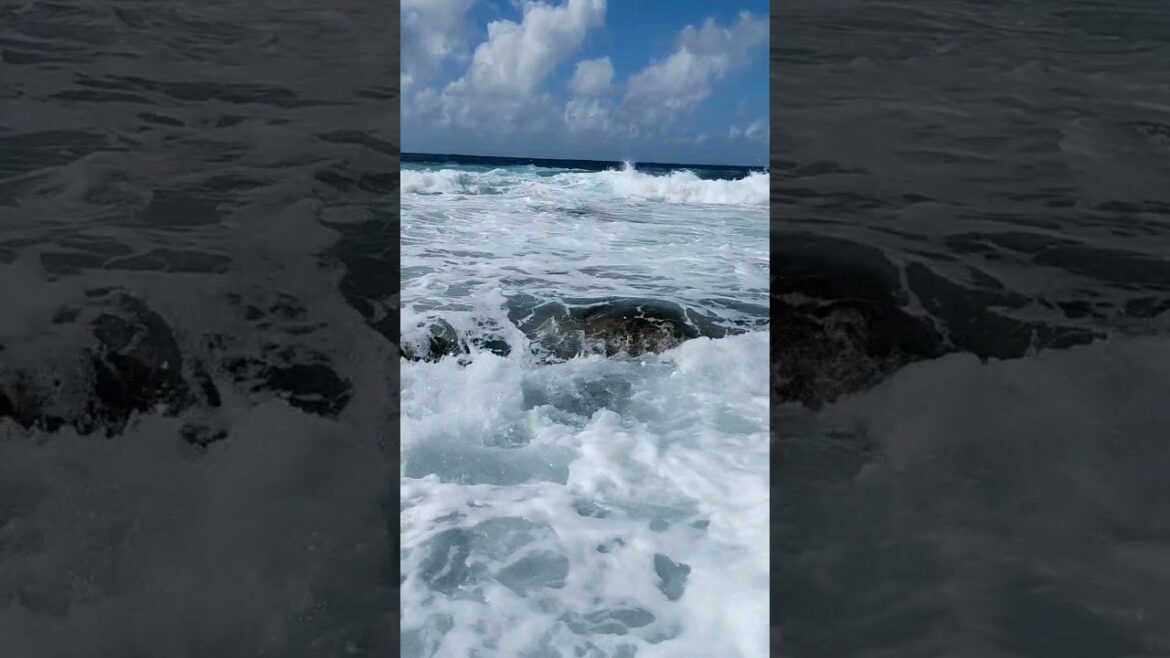 Relaxing ocean wave sounds #shorts  #beach #trending