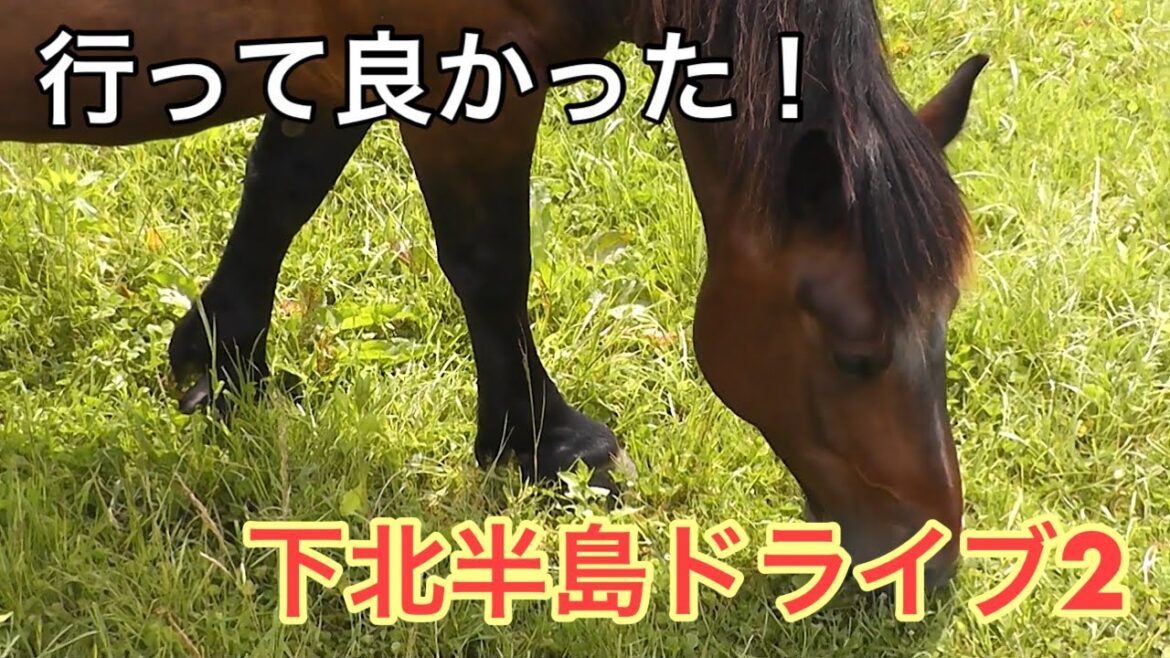 青森33　下北半島ドライブ2　観光・グルメ・温泉　追加12選　aomori, travel, drive